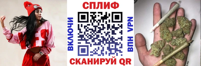 Бошки Шишки Amnesia  сколько стоит  Тверь 
